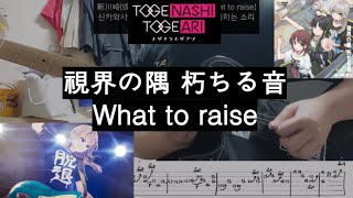 新川崎（仮） 視界の隅 朽ちる音 What to raise Guitar Cover [upl. by Nohsram902]