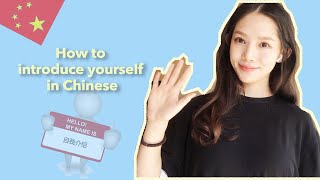 SelfIntroduction in Chinese Mandarin Beginner Chinese lesson [upl. by Dahs]