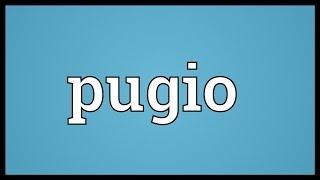 Pugio Meaning [upl. by Ydnerb666]