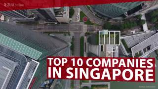 Top 10 Companies in Singapore [upl. by Eseerehc]