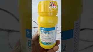 bakterisida dari BASF  obat hawar daun untuk semua tanaman [upl. by Anoyek]