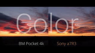 Comparing Colors BMPCC4k vs Sony A7Riii [upl. by Bushey]