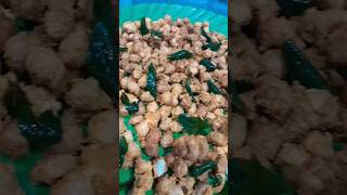 Masala kadalai recipe  Tamil tamilkitchen tamilfood tamilrecipes recipes cooking samayal [upl. by Kistner103]