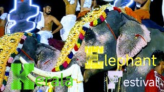 Elephant  Kerala  Thrissur  People  Festival  Hindu  Temple  India  Video 14 ‎shailpoints [upl. by Naujek218]