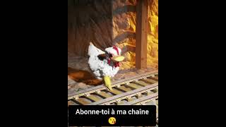 Pauvre poulette poulet poules chicken [upl. by Greabe]