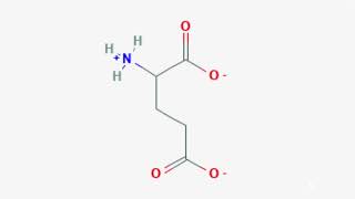 Snosan  Glutamate [upl. by Mairem]