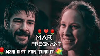 🌹mari pregnant ❣️ mari gifted turgut 💐  turgut will becomes father🌹mari loves turgut ✨ [upl. by Arramahs]