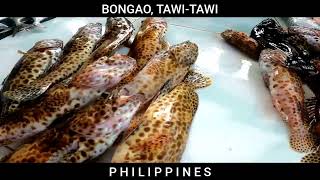 Inside the fish market of Bongao TawiTawi Philippines [upl. by Lienahs]