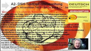 A2 DSH u TestDAF Vorber Leseverstehen Teil II Überall Salz [upl. by Lehteb]