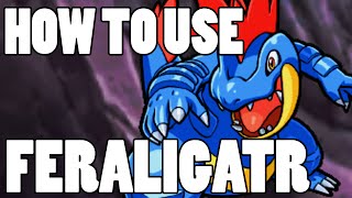 How To Use Feraligatr OP Feraligatr Strategy Guide ORAS  XY [upl. by Chrisman835]