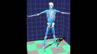 Biomechanics or how to get under your skin [upl. by Joby]