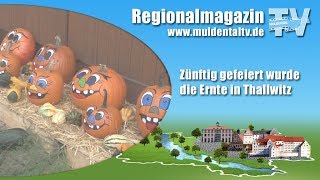 Zünftig gefeiert wurde die Ernte in Thallwitz [upl. by Nosremaj]