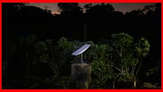 Starlink Internet Comes to The Amazon Rainforest [upl. by Legim]