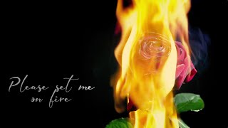 Estelle  Set Me On Fire Official Lyric Video [upl. by Harelda732]