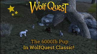 The Biggest Pup in WolfQuest 27 [upl. by Quinton]