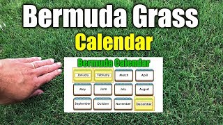 Bermuda Grass Calendar Please See New Calendar in Description [upl. by Ahsima]