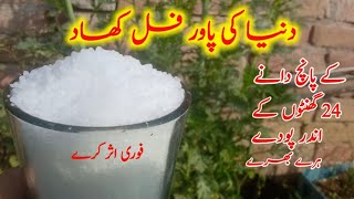 how to use urea fertilizer best method to use urea fertilizer uriya khad istemal Karne Ka Tarika [upl. by Birck]