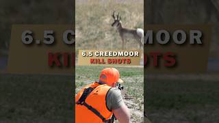 65 CREEDMOOR KILL SHOTS [upl. by Erdnuaed574]