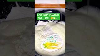 LAUNDRY POWDER AND LIME 🤤🍋‍🟩🫧 spongeasmr oddlysatisfying pinesponge laundrypowder satisfyin [upl. by Elokin]