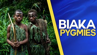 Biaka Pygmies ​of the Zaire rainforest Documentary about the former Belgian Congo [upl. by Gwenneth]