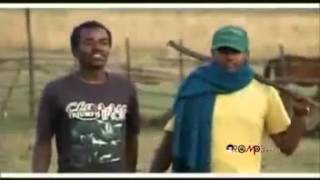 Hawi Tezera  Abichu New Oromo Music 2013 [upl. by Niryt]