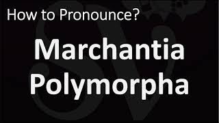 How to Pronounce Marchantia Polymorpha [upl. by Joeann]