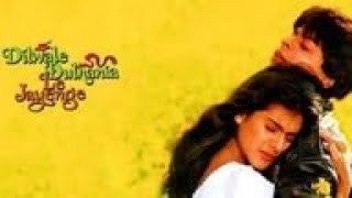 Dilwale Dulhania Le Jayenge Full Movie Value Review and Value Fact and Story Explained  Kajol [upl. by Onitselec]