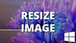 How to resize an image in Windows 11 step by step [upl. by Iggy]