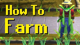 Ultimate Noob Guide to Farming [upl. by March663]