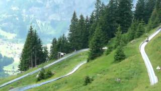 Summer Toboggan at Oechinensee Kandersteg Switzerland [upl. by Malvia296]