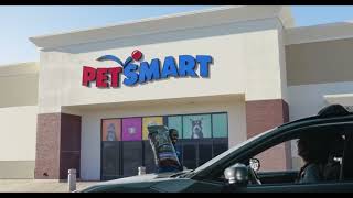 Super Bowl LVII 57 Commercial Petsmart  Purina  Crossroads 2023 [upl. by Ociral629]