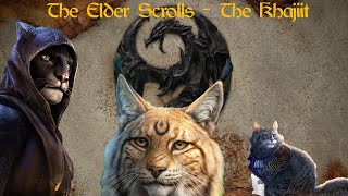 The Elder Scrolls  Video Game Essay  The Khajiits [upl. by Attevaj783]