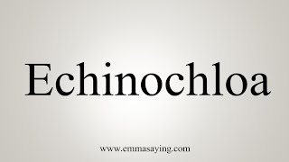 How To Say Echinochloa [upl. by Itirahc]