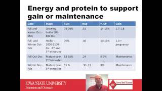 Nutrition of Developing Beef Heifers [upl. by Airehc]