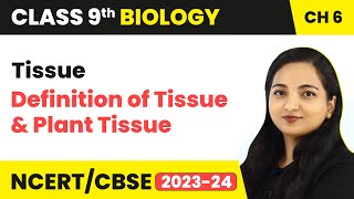 Definition of Tissue and Plant Tissue  Tissue  Class 9 Biology Chapter 6  202324 [upl. by Nealy]