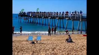 HAWAII whale song Hervey bay qld Sunday august 2018 [upl. by Ollehto654]