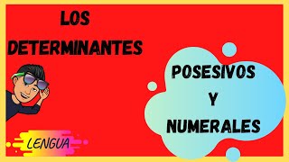 Los DETERMINANTES POSESIVOS Y NUMERALES [upl. by Nomrah]