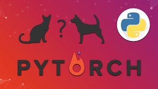 Pytorch Tutorial 16  Katze oder Hund  Das Training [upl. by Tegdirb]