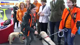 Pet therapy per malati oncologici parte da Marzana un progetto pilota [upl. by Airdnaxela]