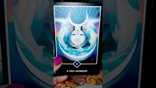 DEVERIA TER TE OUVIDO tarot [upl. by Dysart380]