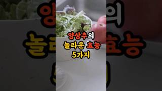 양상추의 놀라운효능 5가지 건강 건강정보 정보 양상추 효능 shortvideo [upl. by Letrice559]