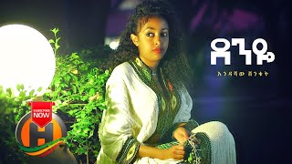 Endashaw Shenkut  Denye  ደንዬ  New Ethiopian Music 2020 Official Video [upl. by Lorinda]