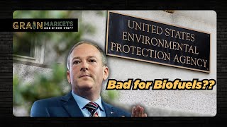 Trump EPA Pick Bad for Biofuels [upl. by Glynda]