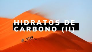 Clase de Hidratos de Carbono 2da parte [upl. by Enelrihs43]