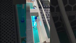 Custom micro filter UV2 cultivation rooms  roller filtrationkoi koifish [upl. by Son428]