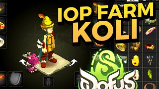 Le IOP FARM KOLI  HUZ VOD DOFUS [upl. by Yentirb]