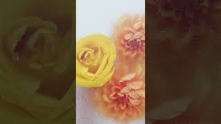 Dew drops  Free Use In Short Videos calmmusic pianomusic nature inspiring motivational [upl. by Tybi]