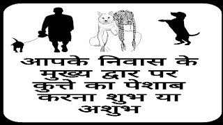 आपके निवास के मुख्य द्वार पर कुत्ते का पेशाब करना बहुत बड़ा खतरनाक अशुभ संकेत [upl. by Biel268]