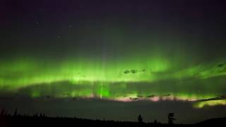 Relaxing Northern Lights Over Fermont Quebec Sky [upl. by Humberto]