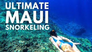 5 Best Maui Snorkeling Spots  Plus 2 Beginner 4 Advanced amp More [upl. by Nwahs]